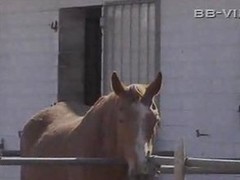 german sex on be transferred to farm prt1...BMW