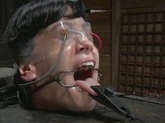 Elise tries to scream for help, but the word can`t be made out because for the clamps around her mouth added to tongue. He master turns up the power on the electrodes attached to her face added to pussy added to she nearly passes out.